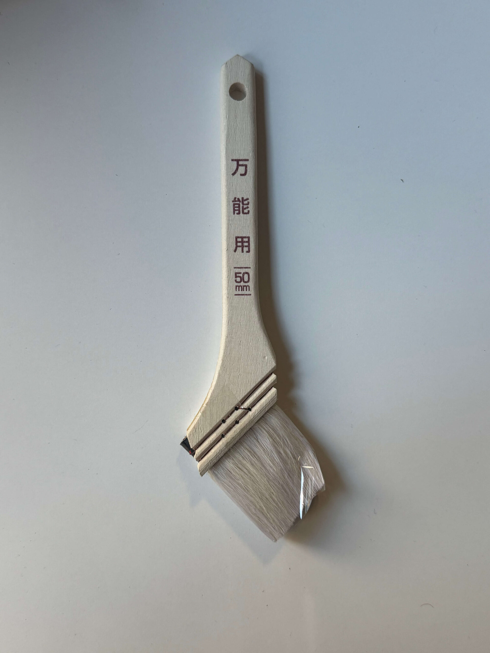 IMG_0667 2